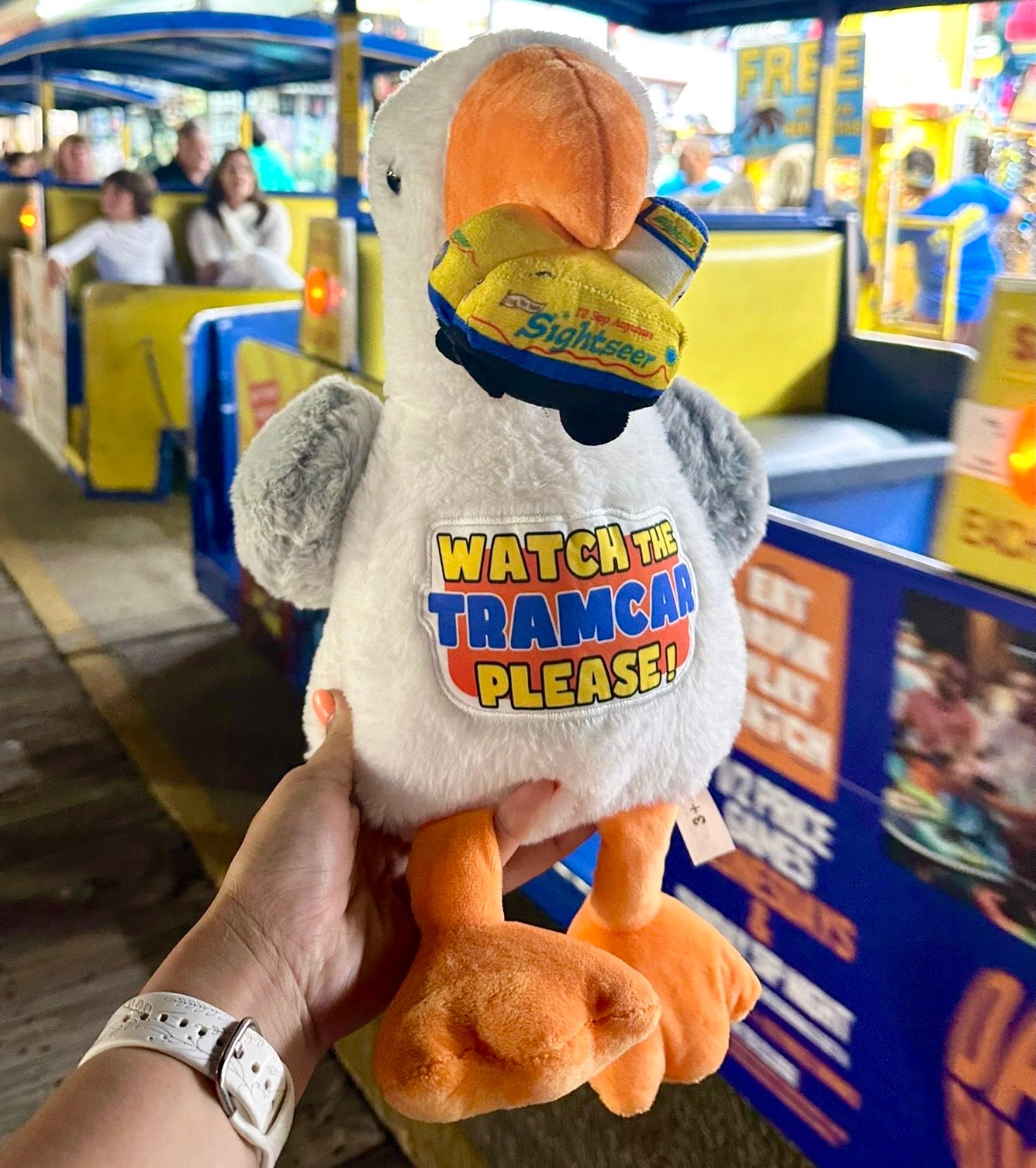 Seagull with Tramcar