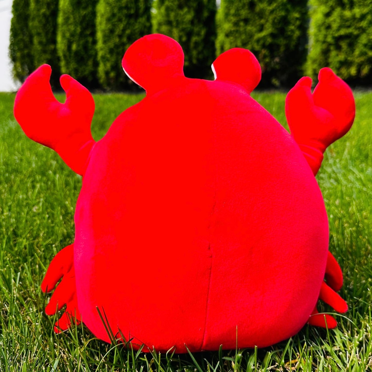 Crab π¦