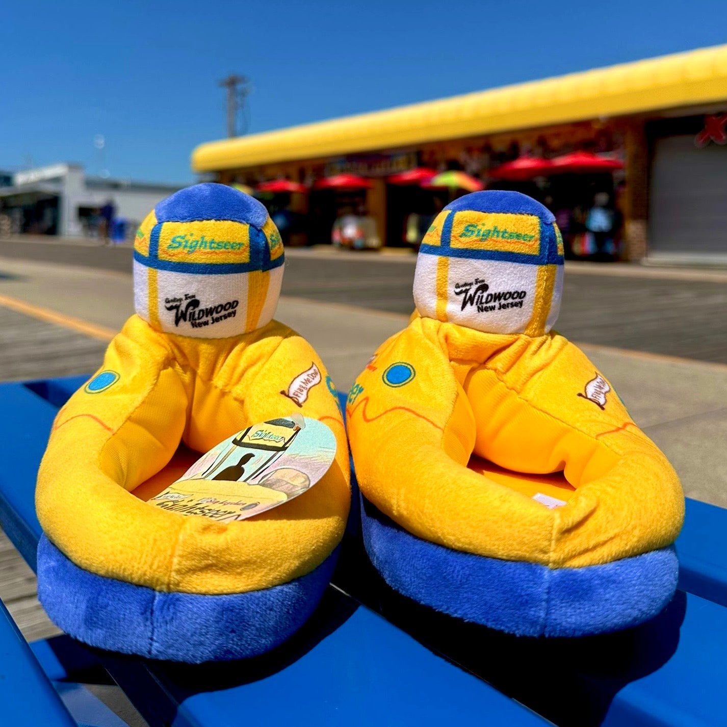 Tramcar Slippers