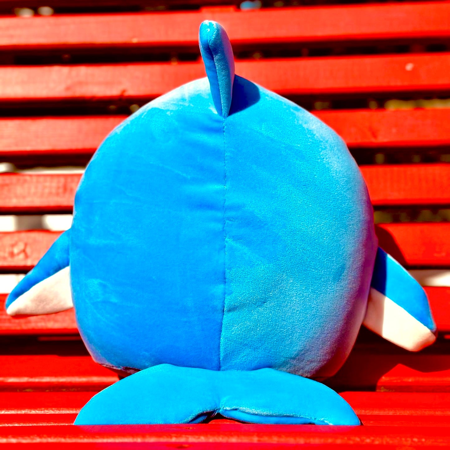 Blue Dolphin π¬