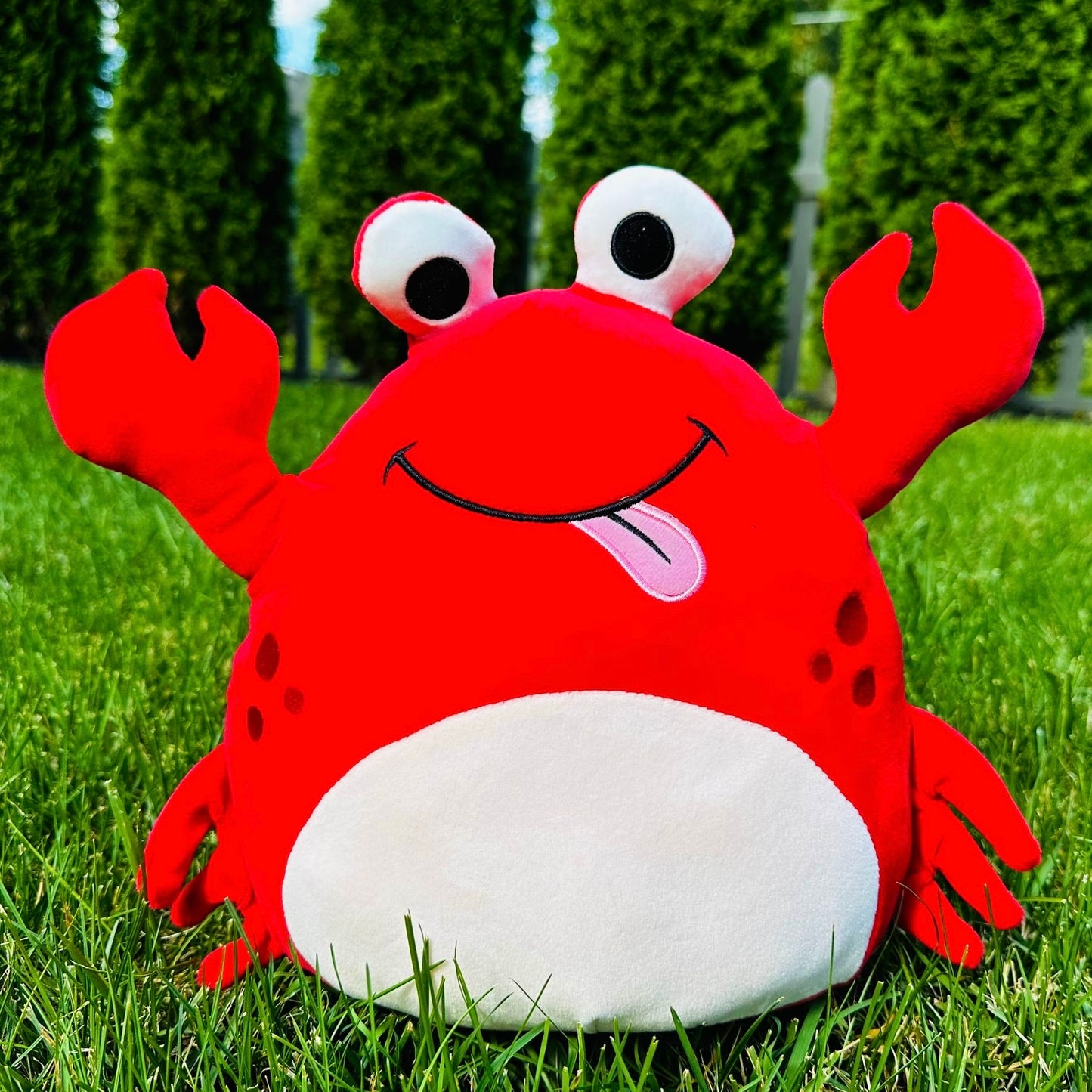 Crab π¦