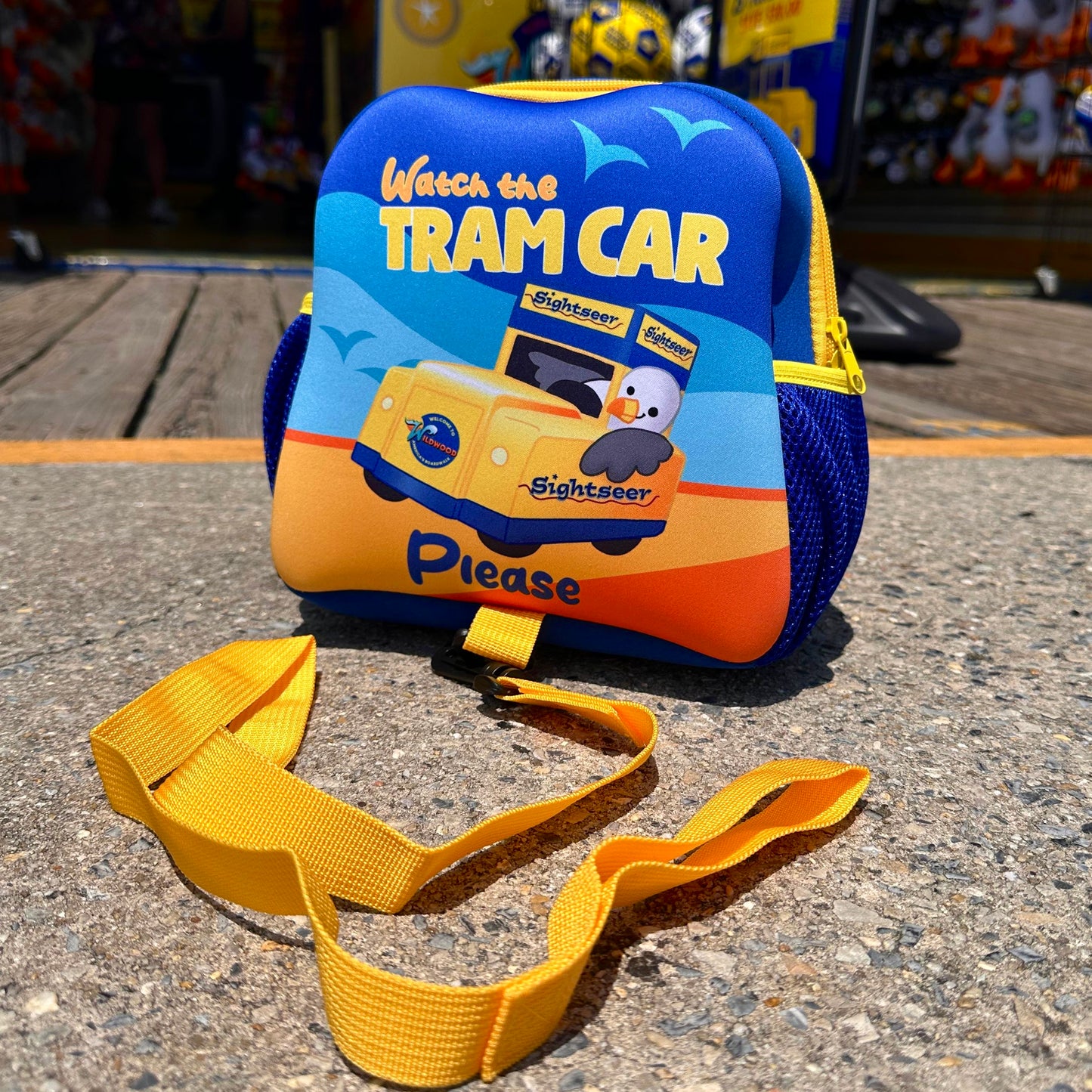 Backpack with detachable safety straps
