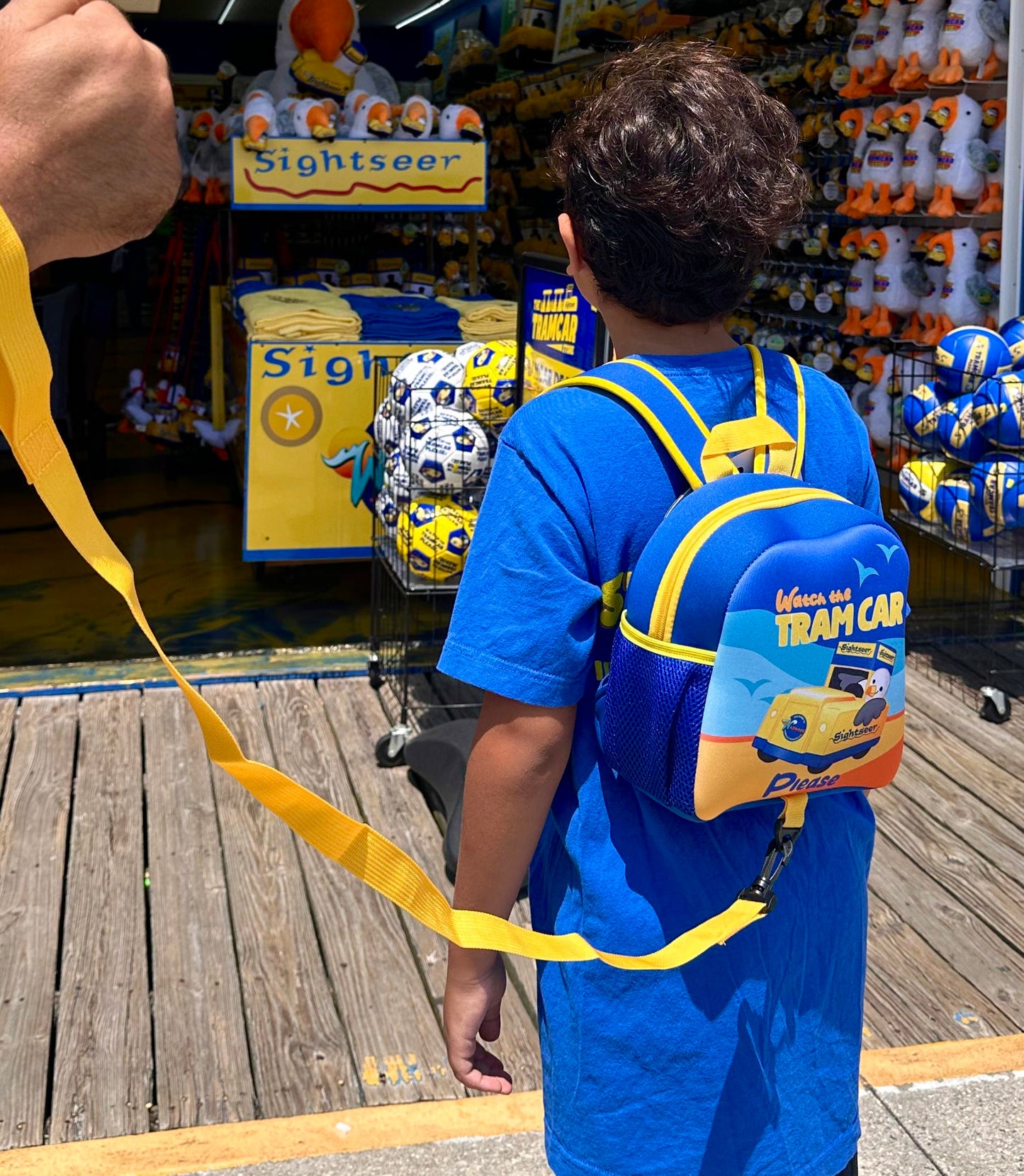 Backpack with detachable safety straps