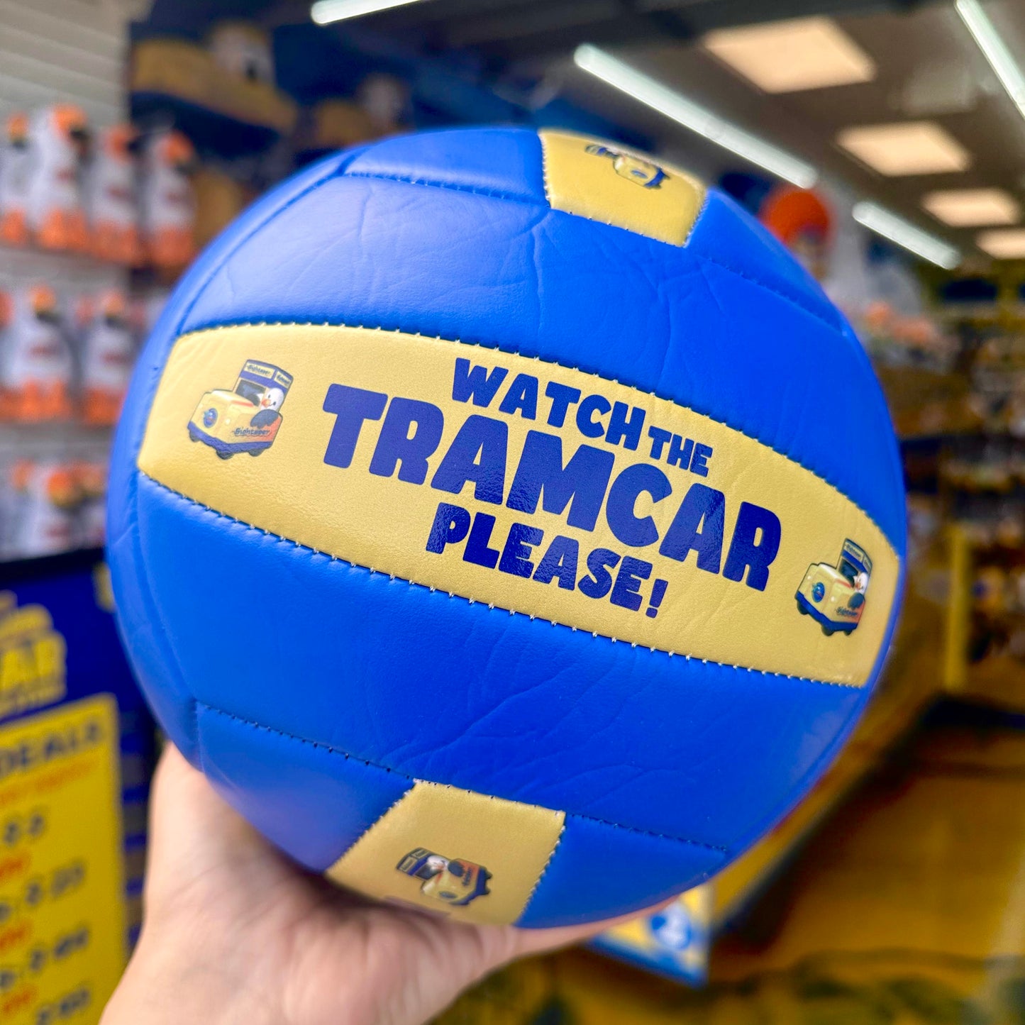Tramcar Volleyballs