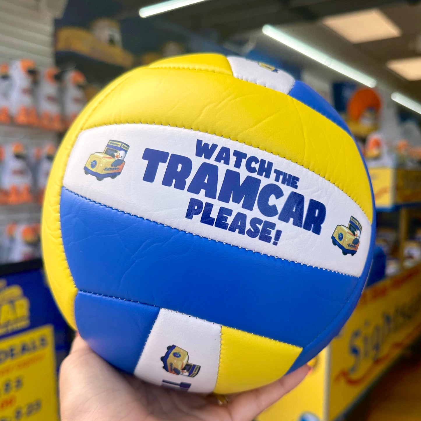 Tramcar Volleyballs