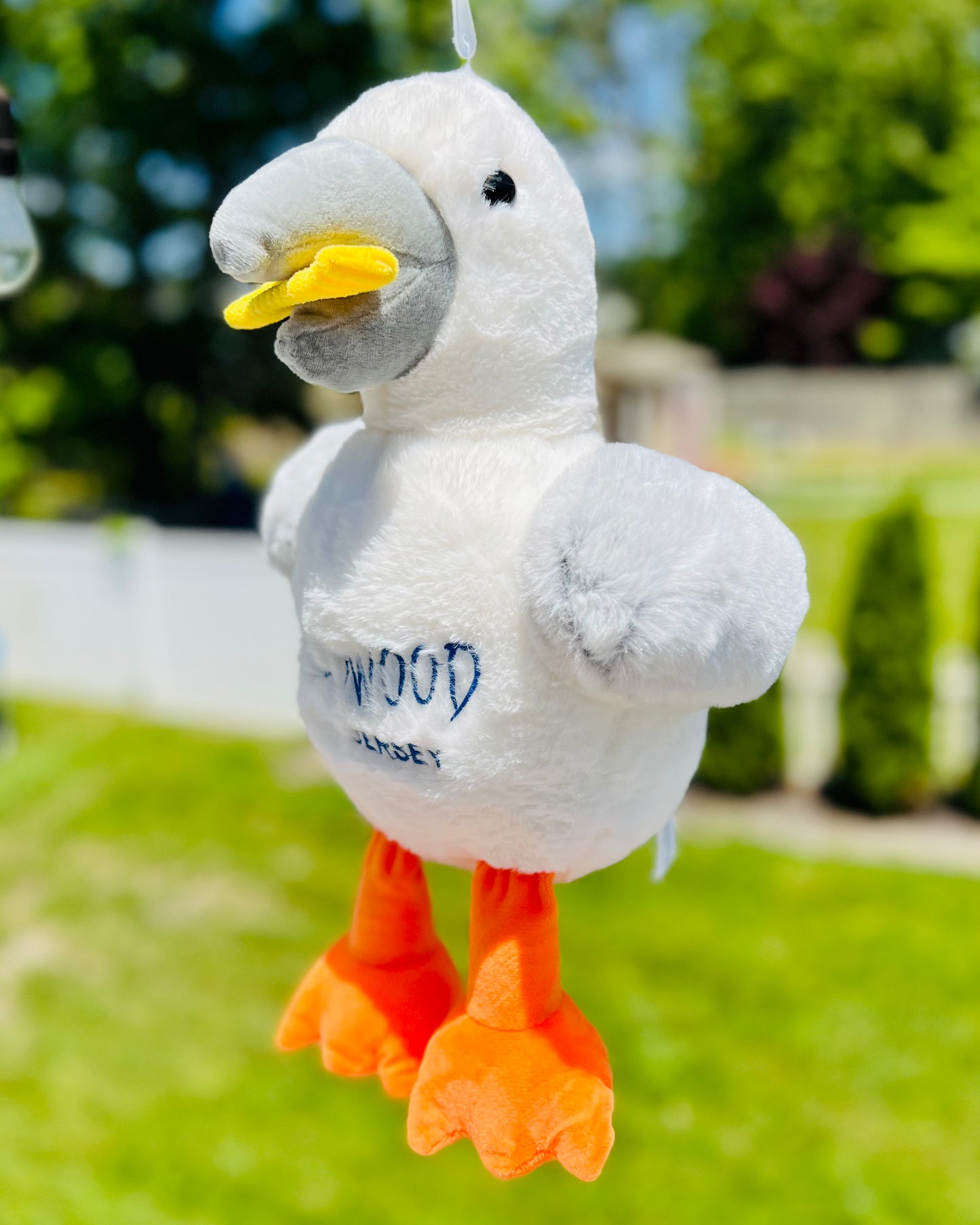 LARGE Seagull with fries
