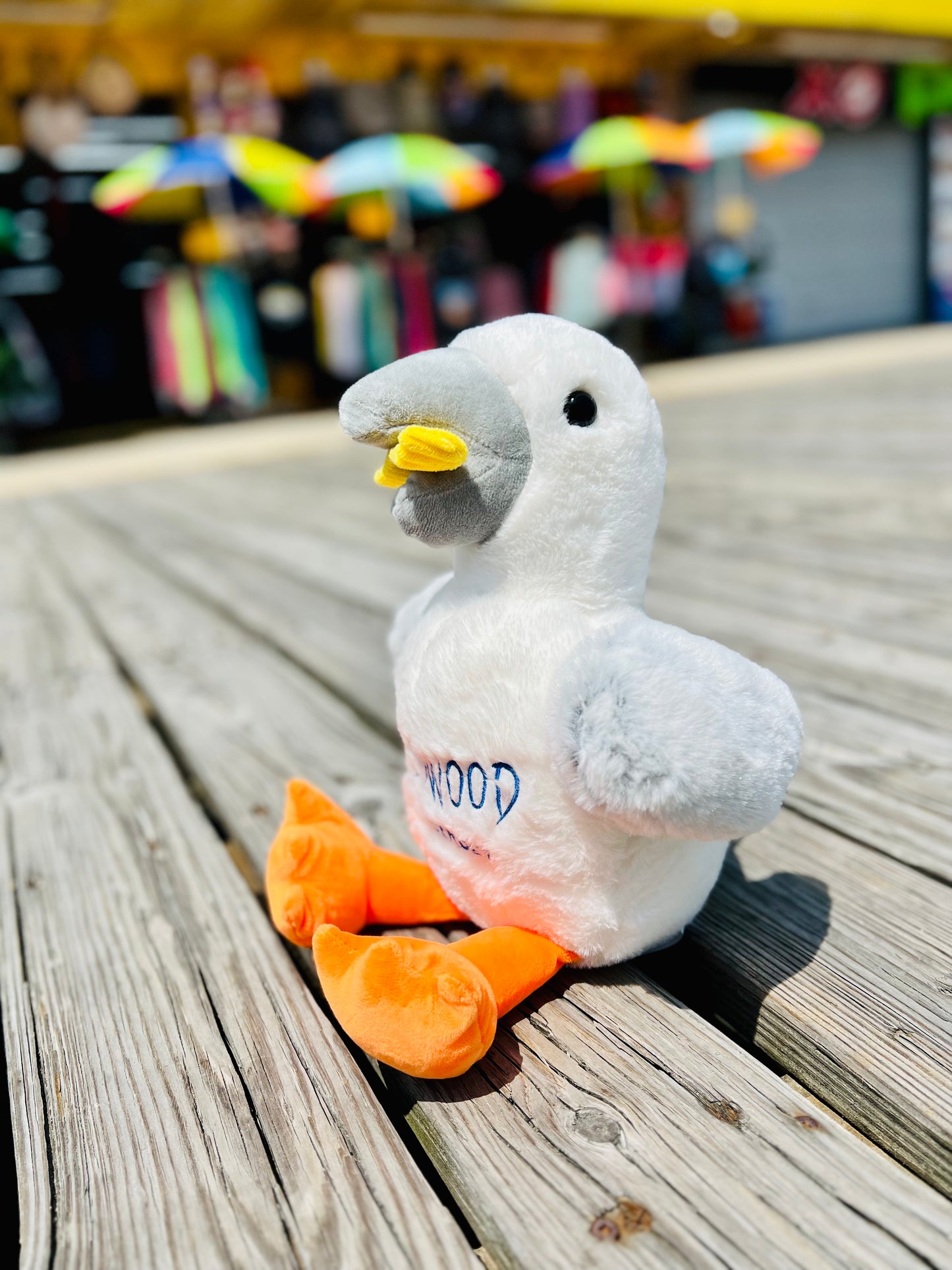 LARGE Seagull with fries