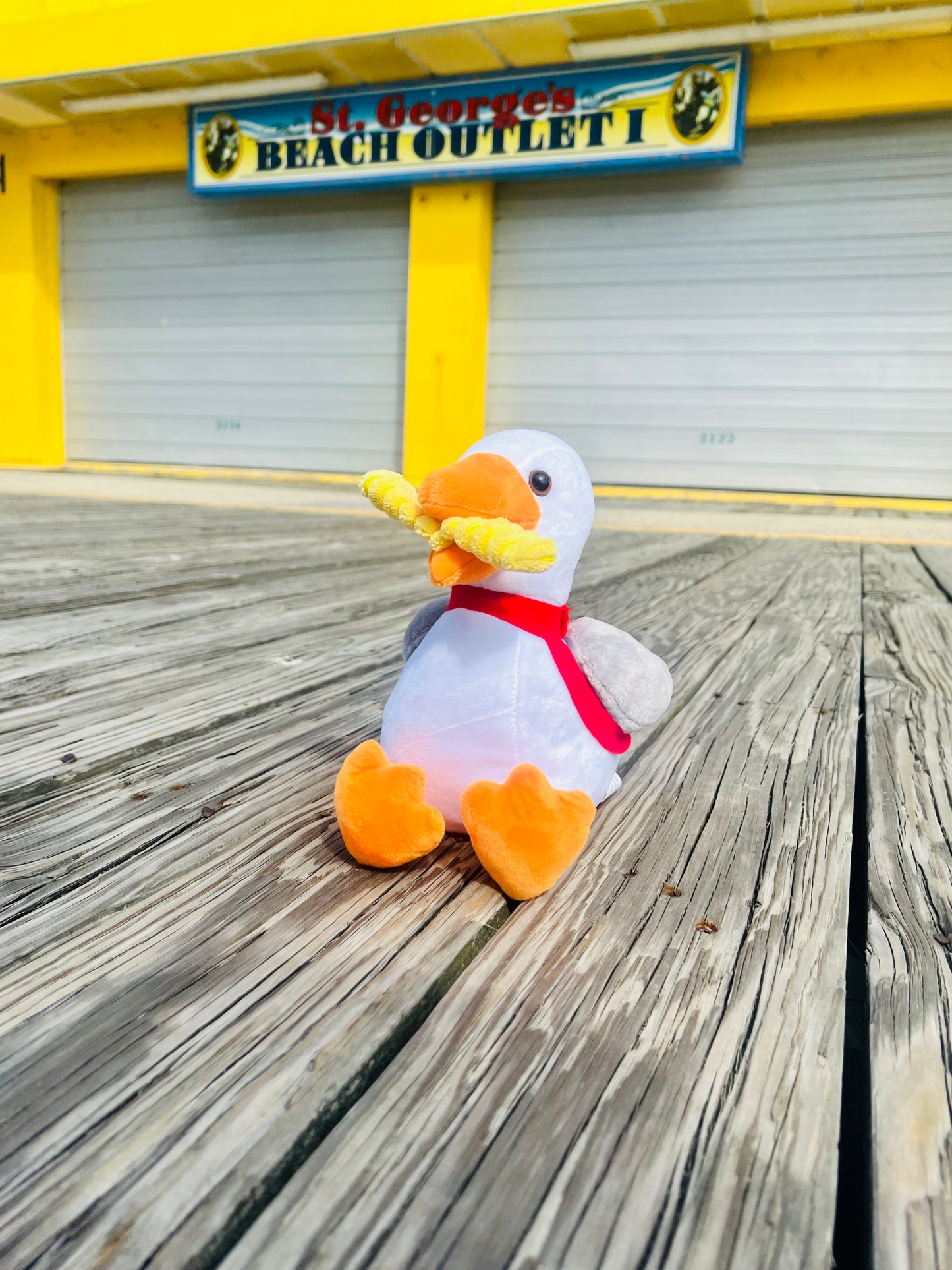 Seagull On a Leash