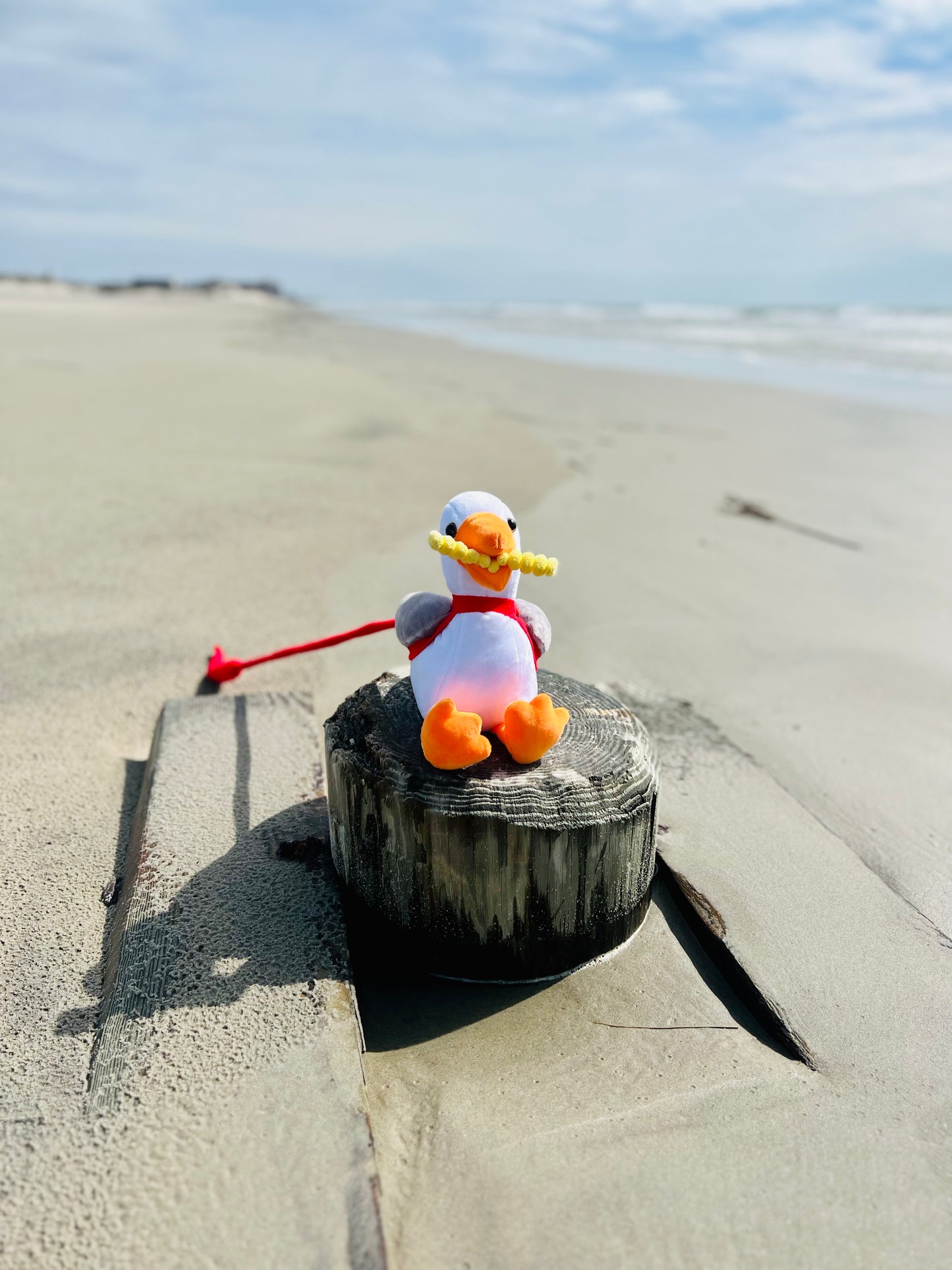 Seagull On a Leash