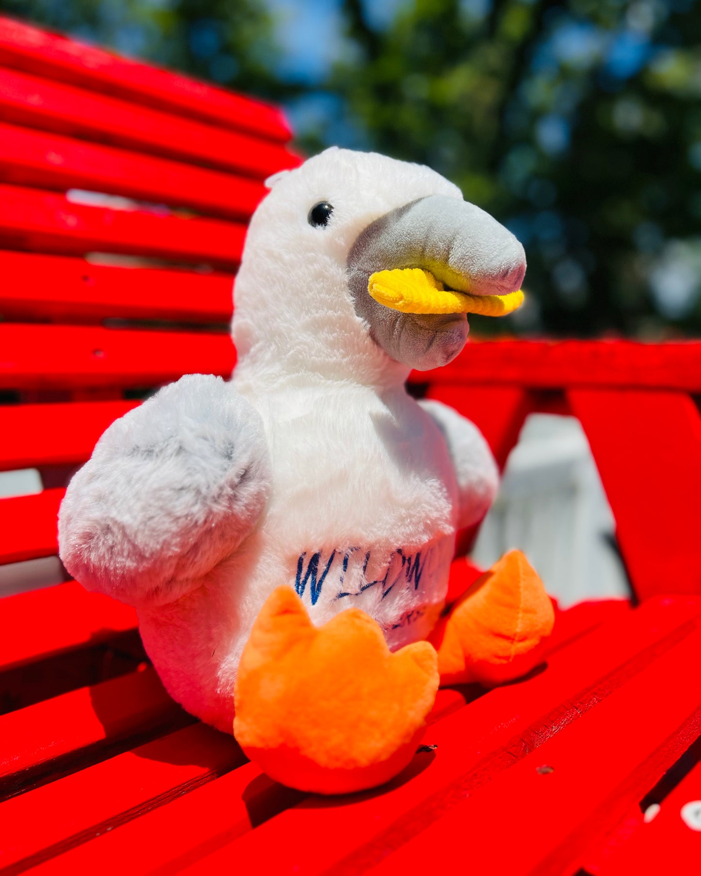 LARGE Seagull with fries