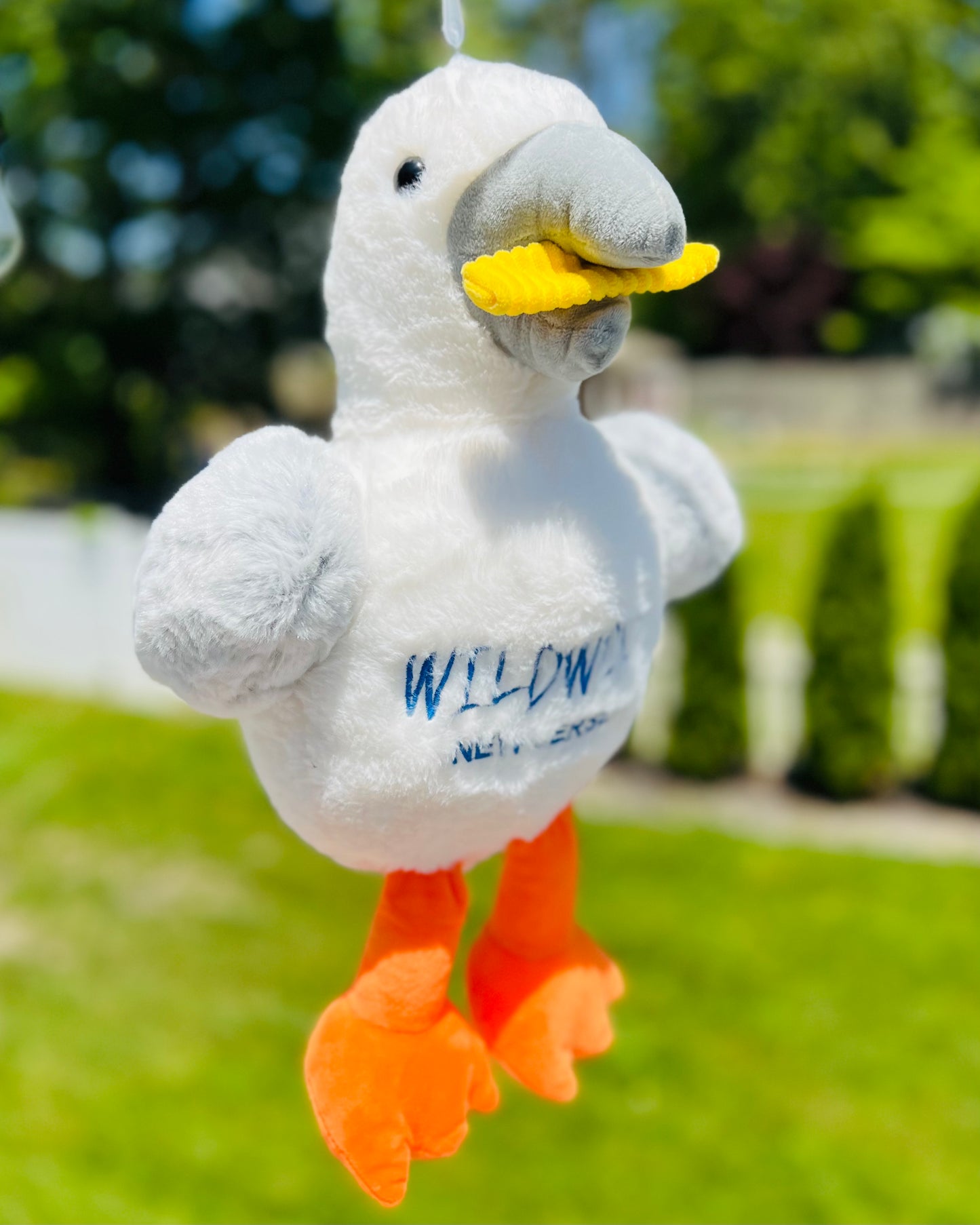 LARGE Seagull with fries