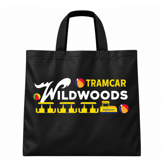 Wildwood Beach Balls Reusable Bag
