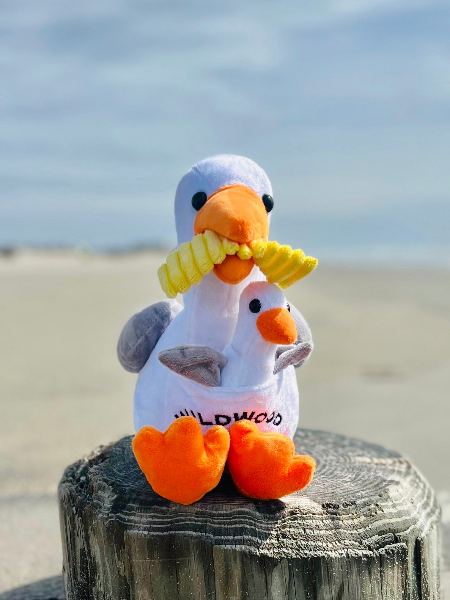 The Seagull Plush Toy with Baby – Wildwood Gift Shop