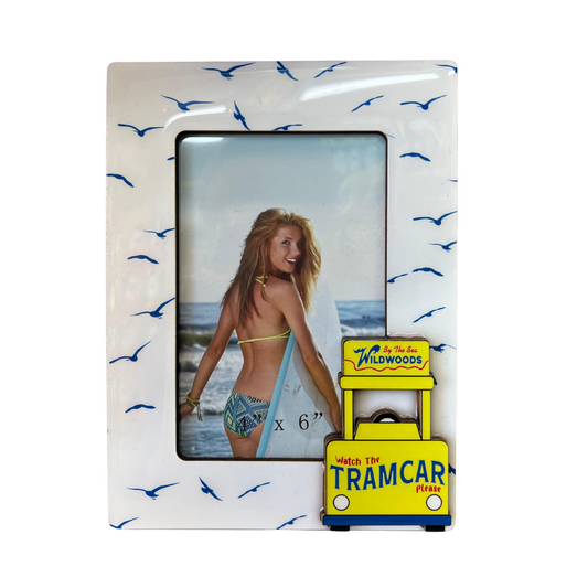 Seagulls Picture Frames